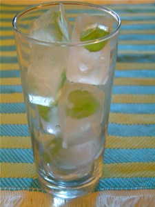 DSCF0005 Mint ice cubes