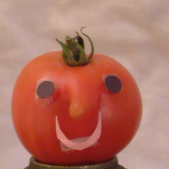 DSCF0039 That's Mr. Tomato to you
