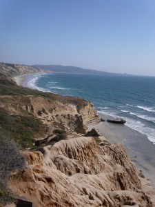 MINOLTA DIGITAL CAMERA