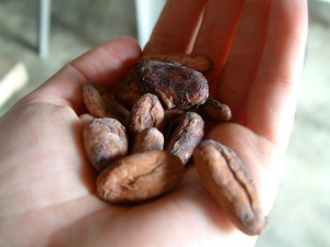 4dried cacao beans
