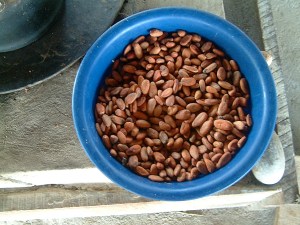 5beans ready for roasting