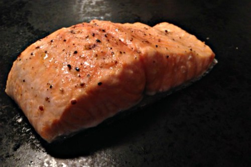 salmon