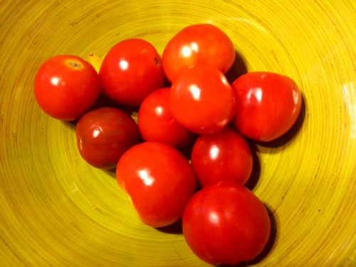 tomato1
