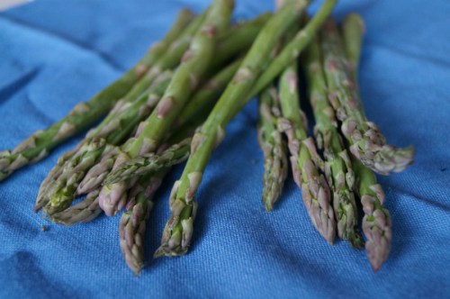 Asparagus1